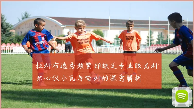 拉科布选秀频繁却缺乏专业眼光科尔心仪小瓦与哈利的深意解析